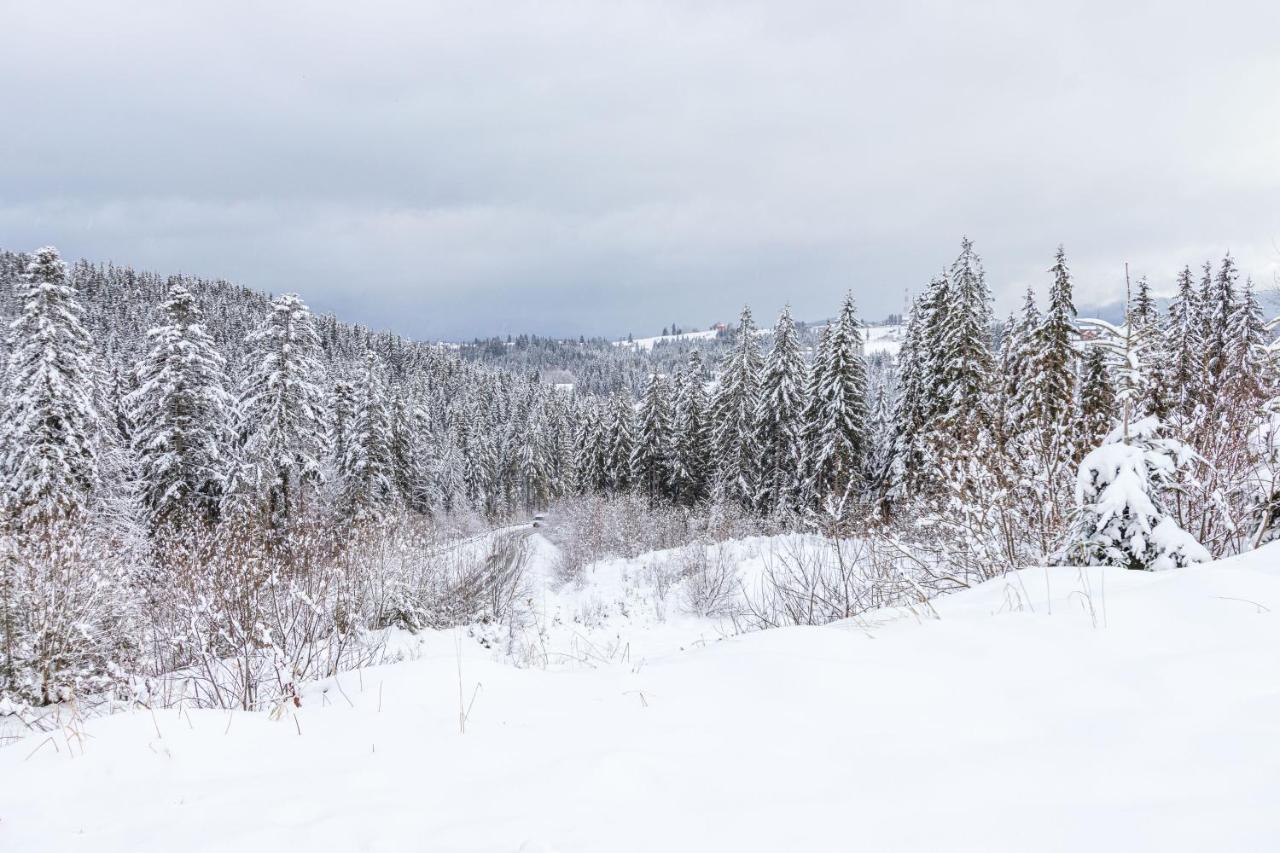 Rich Oak - Готель З Відкритим Панорамний Басейном Yablunytsya Extérieur photo